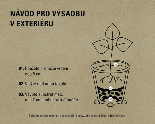 Návod na venkovní výsadbu s drenážní vrstvou, netkanou textilií a substrátem