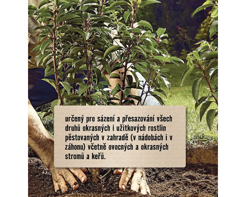 Zahradnická scéna s osobou, rostlinami a půdou