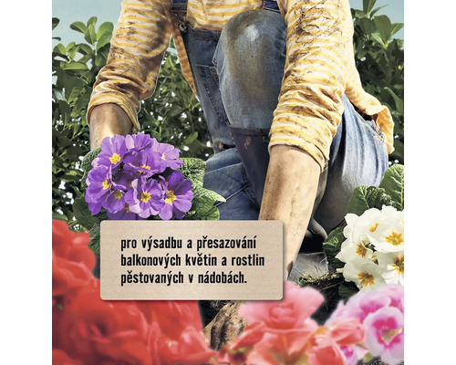 Osoba sází balkónové květiny a rostliny do zahrady.