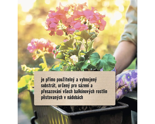 Květináč s muškáty a informační štítek