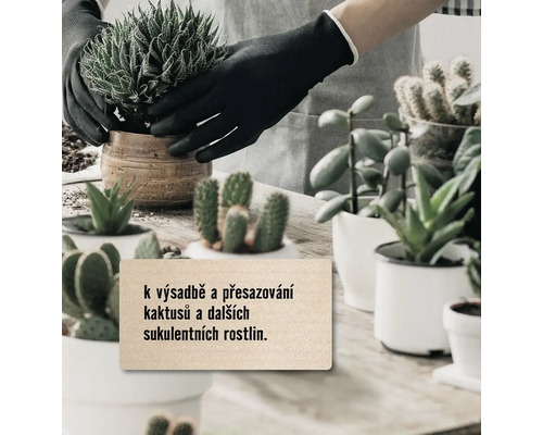 Osoba má zahradnické rukavice a sází sukulenty do květináčů.