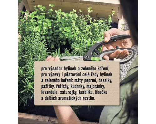 Osoba stříhá bylinky pomocí nůžek na bylinky od společnosti for_q.
