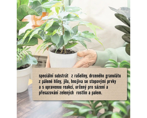 Aranžmá rostlin s osobou držící zelenou rostlinu v květináči a textem o substrátu.