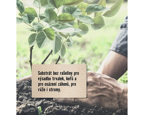 Sázení stromu s rašelinovým substrátem