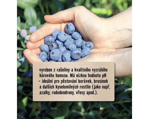 Hrst borůvek a informace o produktu