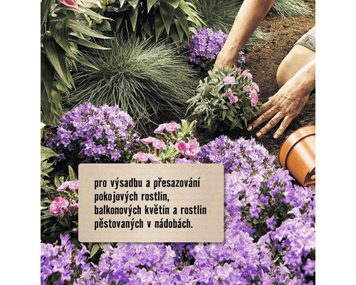 Zahrada s květinami a osobou, která sází květiny