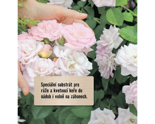 Speciální substrát pro růže a kvetoucí keře do nádob i volně na záhonech