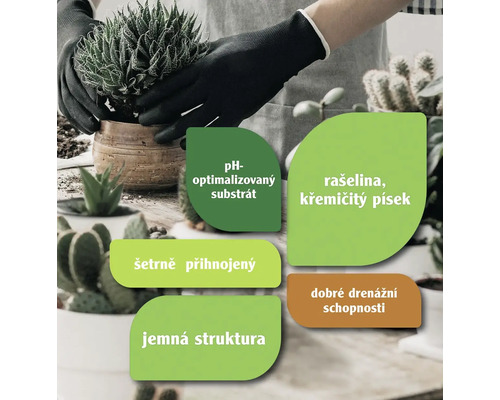 Grafika s informacemi o substrátu pro sukulenty a kaktusy