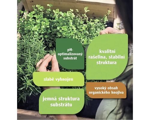 Detailní záběr bylin zasazených v substrátu s označením pH optimalizovaného substrátu, kvalitní rašeliny a stabilní struktury, slabého hnojení, jemné struktury substrátu a vysokého obsahu organického hnojiva.