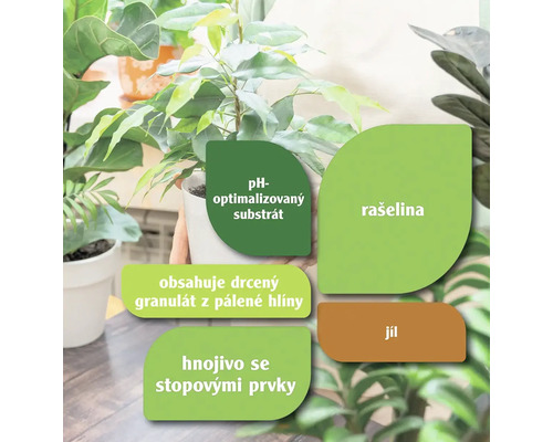 Informace o substrátu s optimalizovaným pH, rašelině, drceném granulátu z pálené hlíny, hnojivu se stopovými prvky a jílu.