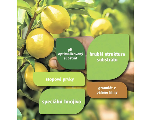 Informace o substrátu s optimalizovaným pH, hrubší struktuře substrátu, stopových prvcích a speciálním hnojivu vedle citroníku