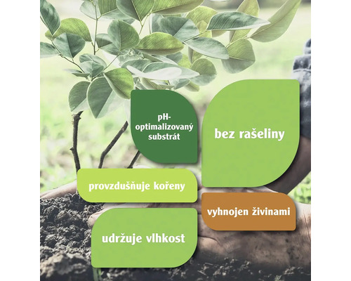 Rostlina s informacemi o substrátu s optimalizovaným pH, bez rašeliny, provzdušňuje kořeny, udržuje vlhkost a je vyhnojen živinami.