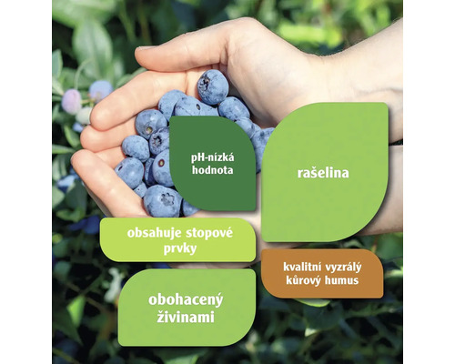 Hrst borůvek s poznámkami o nízkém pH, rašelině, stopových prvcích, obohacených živinách a kvalitním vyzrálém kůrovém humusu