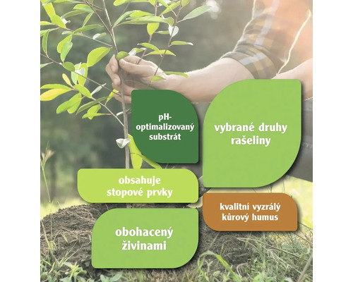 Informace o substrátu s optimálním pH, vybraných druzích rašeliny, stopových prvcích, obohacených živinách a kvalitním vyzrálém kůrovém humusu pro rostliny
