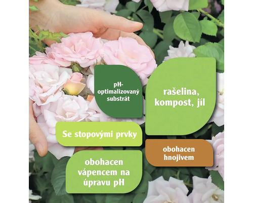 Substrát s optimalizovaným pH, rašelina, kompost, jíl, obohacený stopovými prvky, obohacený hnojivem, obohacený vápencem pro úpravu pH