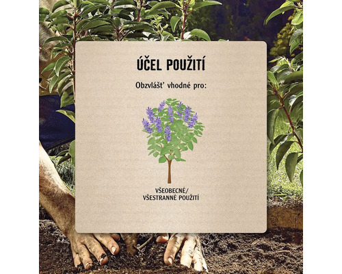 Ilustrace zobrazující účel použití rostliny pro obecné použití