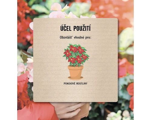 Ilustrace pokojové rostliny v květináči pro vnitřní použití.