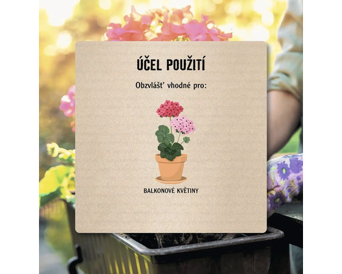 Účel použití balkonové květiny