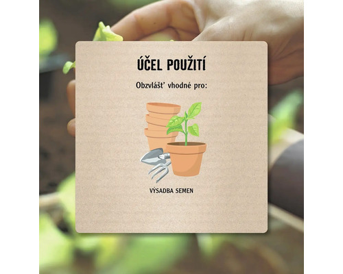 Symbolický obrázek pro výsev semen s květináči a zahradním nářadím