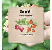 Ilustrace s malinami a rajčaty jako účel použití