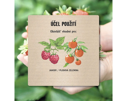 Ilustrace s malinami a rajčaty jako účel použití
