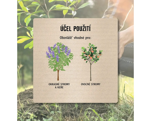 Ilustrace okrasných a ovocných stromů pro použití na zahradě.