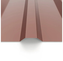 Profilovaný plech pro střechu a stěnu