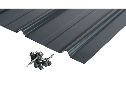 Trapézový plech a šrouby pro montáž