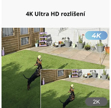 Ukázka rozlišení bezpečnostní kamery na zahradě s hrajícím si psem