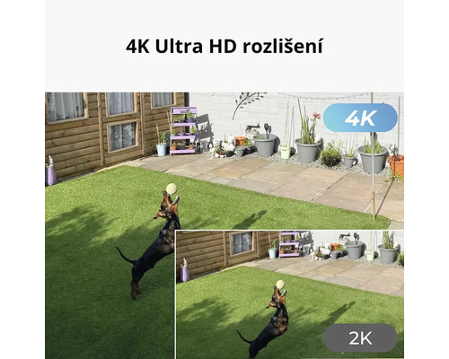 Ukázka rozlišení bezpečnostní kamery na zahradě s hrajícím si psem