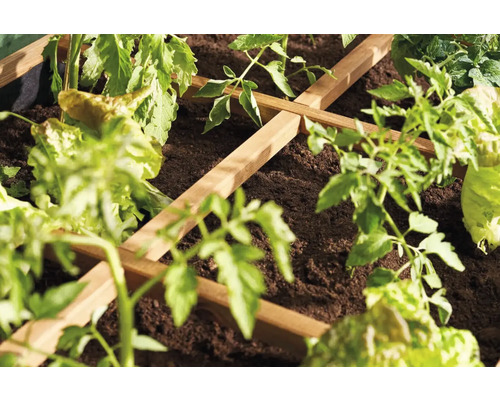 Zvýšený záhon s rostlinami a dřevěnou mřížovou oporou