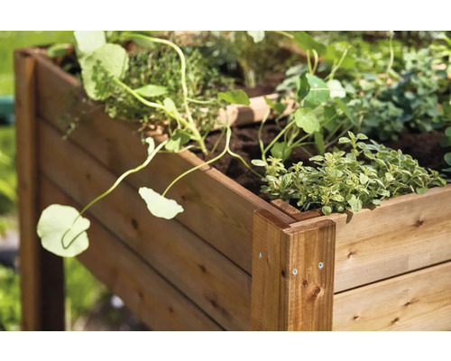 Dřevěný vyvýšený záhon s rostlinami