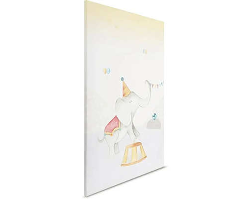 Ilustrace cirkusového slona na plátně