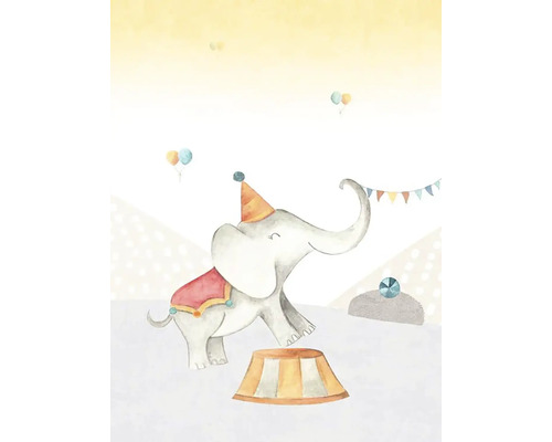 Ilustrace cirkusového slona s kloboukem a podstavcem