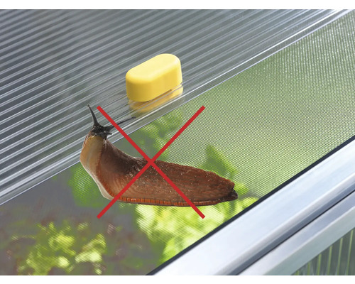 Slimák s červeným křížem na pařeništi
