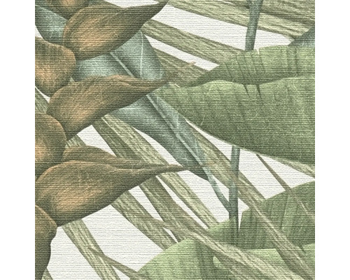 Ilustrace s listy a rostlinami
