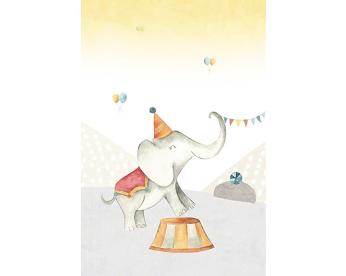 Ilustrace cirkusového slona s kloboukem na podstavci