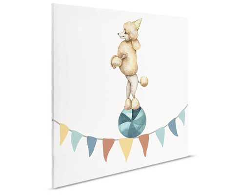 Plátno s potiskem pudla balancujícího na míči v cirkusové scéně