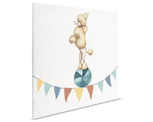 Plátno s pudlem s párty kloboukem na kouli a girlandou