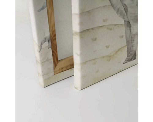 Detailní pohled na dva obrazy na plátně s motivem slona