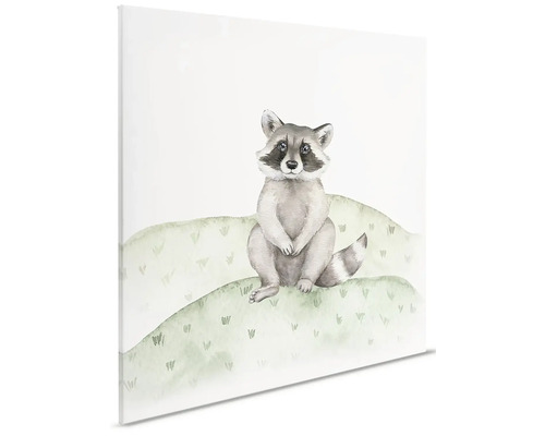 Ilustrace mývala na plátně