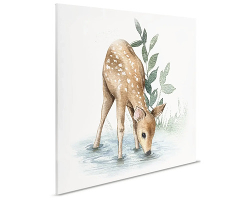 Plátno s akvarelovou kresbou srny pijící u potoka