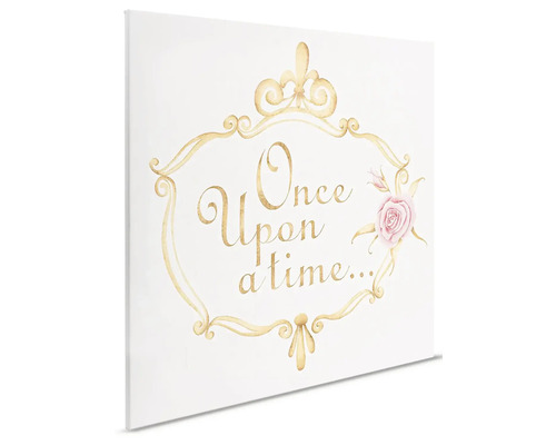 Plátno s nápisem Bylo nebylo v ozdobném rámu a růže