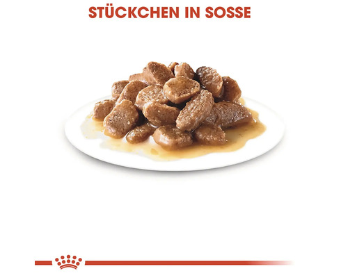 Kousky v omáčce na talíři, krmivo pro kočky