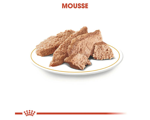 Pěna pro kočky na talíři