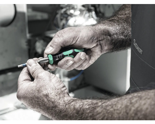 Osoba drží v ruce šroubovák Wera.