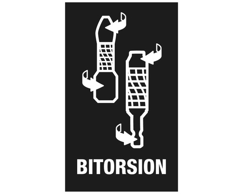 Symbol bitorsion popisující torzní vlastnosti bitů