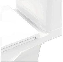 Detailní záběr toalety s nádržkou a záchodovým prkénkem