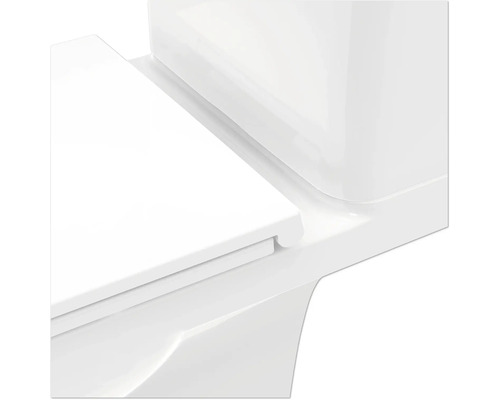 Detailní záběr toalety s nádržkou a záchodovým prkénkem