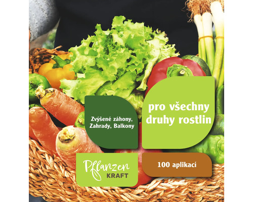 Košík s různou zeleninou, jako je salát, mrkev, paprika a pórek